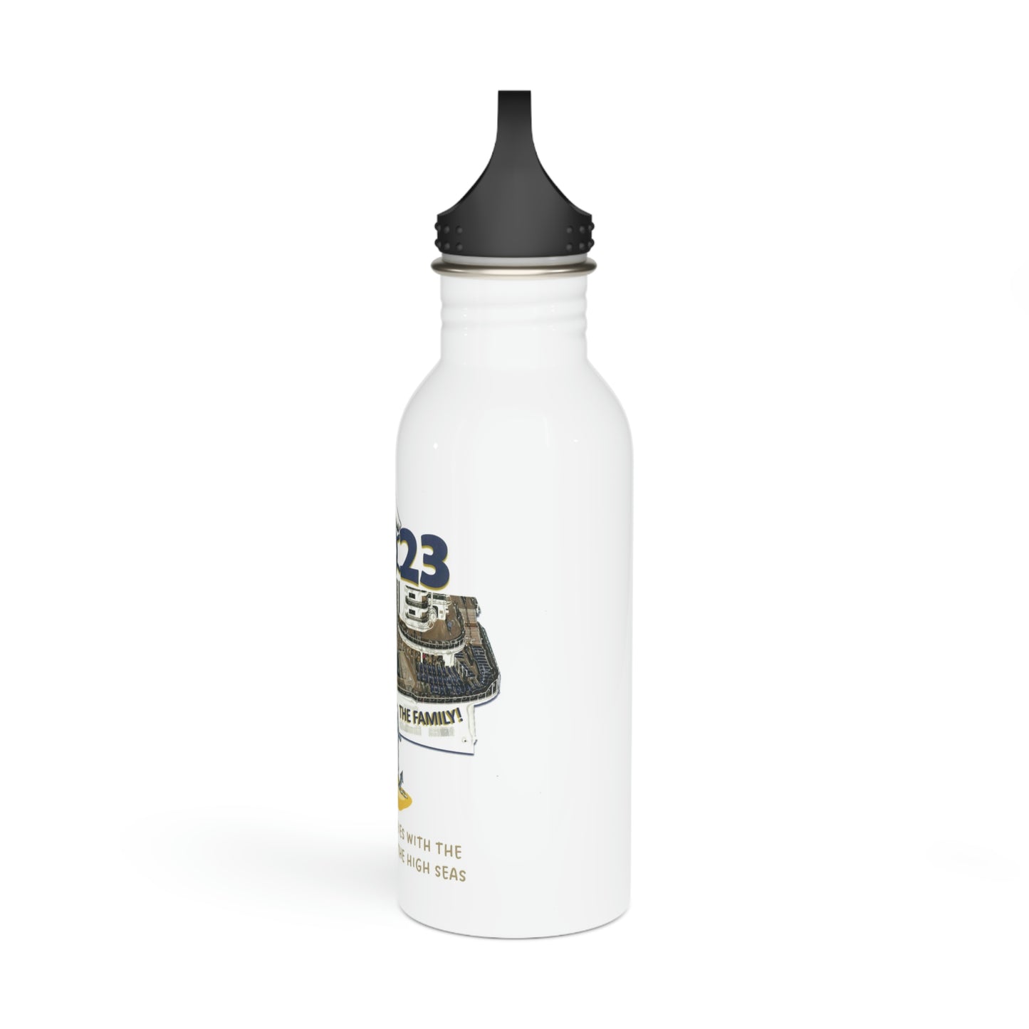 Stainless Steel Water Bottle